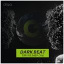 Tamar Sabadini - Dark Beat (Intro Mix)