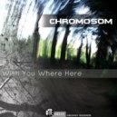 Chromosom - Wish You Where Here (Original Mix)