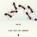 Salva & Mr. Carmack - A.D.D