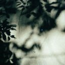 Nisus Cede - Impassable Voyage