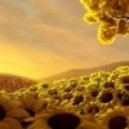 A.R.D.I. & Cynthia Hall - Sunflowers (R.I.B Chillout Mix)