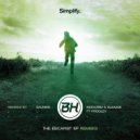 BH, Progley, Sauniks - The Escapist (feat. Progley) (Sauniks Remix)
