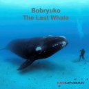 Bobryuko - The Last Whale