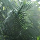 CATVLYST feat. Loud Lord - Steroids (Original mix)