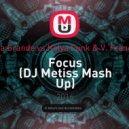 Ariana Grande vs Kolya Funk & V. Francesco - Focus