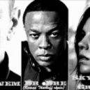 Dr. Dre feat. Eminem & Skylar Grey - I Need A Doctor (Roman Tkachoff Remix)
