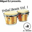 Miguel DJ - Land Funky (Original Mix)