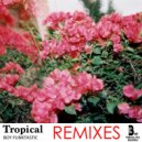 Boy Funktastic - The Vibes (Dr. Zapata Remix)