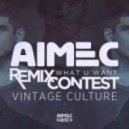 Vintage Culture - What U Want (Tolk, Hash & Smith Remix) (Tolk, Hash & Smith Remix)