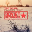 Tony Palmer - Something\'s Missing (Original Mix)