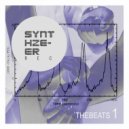 PABLO RASTER - An Le Bolet Feat. Natty Sly