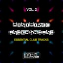 Ilary Montanari - Forget Your Pain