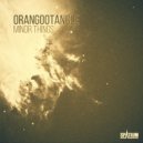 oranGootAngle - Minor Things
