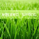 VALEKA - Spring (DnB Mix)
