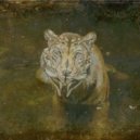 Revive Us - The Tiger And The Whale (Original mix)