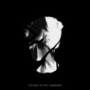 Gary Moore - Crying In The Shadows (TRAILS Remix)