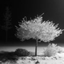 Suiese - Break To Life