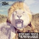 Stefano Testa - Drop To Drop