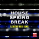 Francesco Baldi - Musix (feat. Diego Parisi) (House Pleasure Remix)