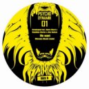 Badjoke - Flashback (DJ Panik Remix)