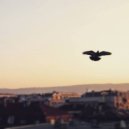 REN - Make Me Feel Good