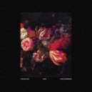 ZAYN vs. Lana Del Rey - Money Power Pillowtalk (Carlos Serrano Mix)