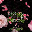Diego Power - Spring Deep Collection [2016] (MIX)
