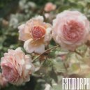 Fatmorph - Garden (Original mix)