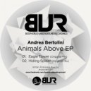 Andrea Bertolini - Hiding Spider (Original Mix)