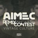 Vintage Culture - What U Want (BreakCats Remix)