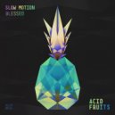 Slow Motion! - Blessed (Original mix)