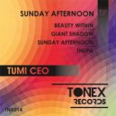 Tumi Ceo - Thupa (Original mix)