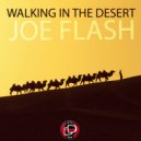 Joe Flash - Walking In The Desert (Original mix)
