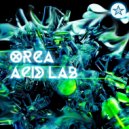 Orca - Acid Lab (Hub Graph & Nothing Personal Remix) (Hub Graph & Nothing Personal Remix)