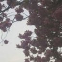 MVE - Minerva (Original mix)