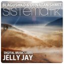 Blagushko & Dj NaTaN ShmiT - Sistematik (Original mix)