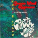 Crystal Waters - Gypsy Woman