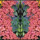 Nora Zion - Overnight (prod. by J.u.D)