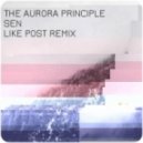 The Aurora Principle - Sen