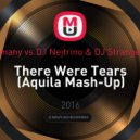 Imany vs.DJ Nejtrino & DJ Stranger - There Were Tears