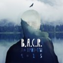 B.A.C.R. - Голодные творят 2015 (Dansonn prod)