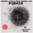 Central Avenue feat. Andrea Love - Pushin (Fly & Leo Grand Remix)
