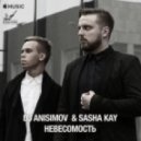 Dj Anisimov feat. Sasha Kay - Невесомость (Original Mix)