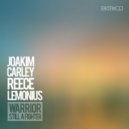 Joakim Carley ft. Reece Lemonius - Warrior