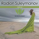 Rodion Suleymanov - Забытая (Dj Rostej Remix)