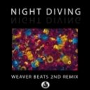 Thrice - Night Diving