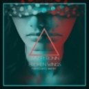 Rivaz feat. Ronin - Broken Wings