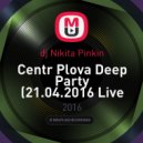 dj Nikita Pinkin - Centr Plova Deep Party