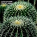 Gourski - Springtime (Original mix)