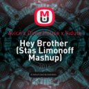 Avicii x Dima House x Viduta - Hey Brother (Stas Limonoff Mashup)